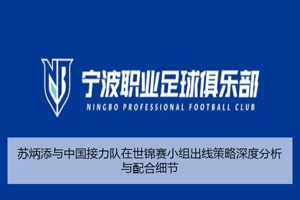 苏炳添与中国接力队在世锦赛小组出线策略深度分析与配合细节