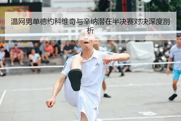 温网男单德约科维奇与辛纳潜在半决赛对决深度剖析