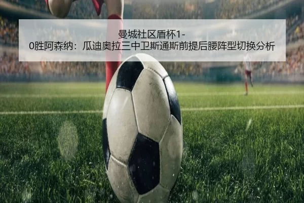 man-cheng-she-qu-dun-bei-sheng-a-sen-na-gua-di-ao-la-san-zhong-wei-si-tong-si-qian-ti-hou-yao-zhen-xing-qie-huan-fen-xi-3-342.jpg