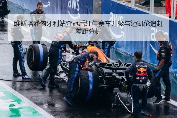 维斯塔潘匈牙利站夺冠后红牛赛车升级与迈凯伦追赶差距分析